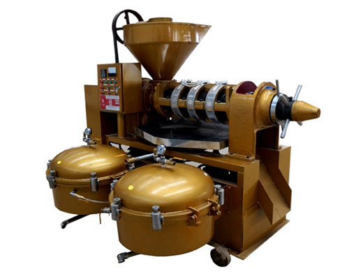 Máquina para cocinar semillas de sésamo de 150 kg/hora para aceite grande en venta