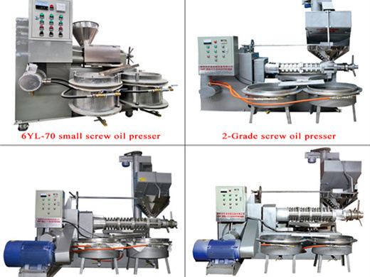 Venta de máquina prensadora en frío de aceite de sésamo multifuncional dl zyj09