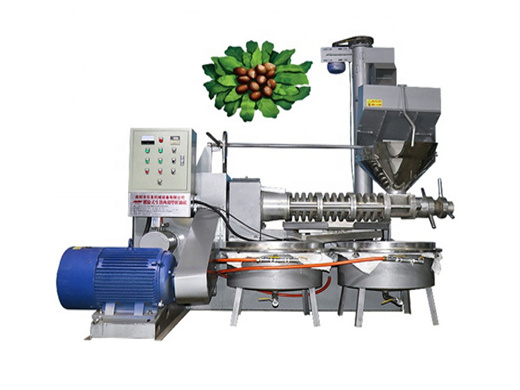 Línea de producción de prensa de aceite de sésamo automática de China con filtro de aceite
