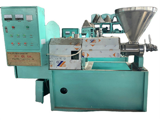 Prensa de aceite de sésamo negro automática con control por botón 500 kg/hora