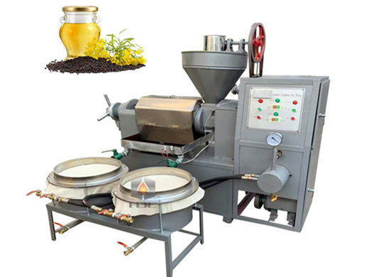 Prensa de aceite de girasol industrial de alta calidad y mejor precio en Perú