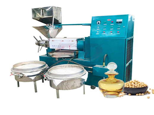 Máquina para hacer aceite de sésamo de China 410 kg/h yzlxq140 en Paraguay
