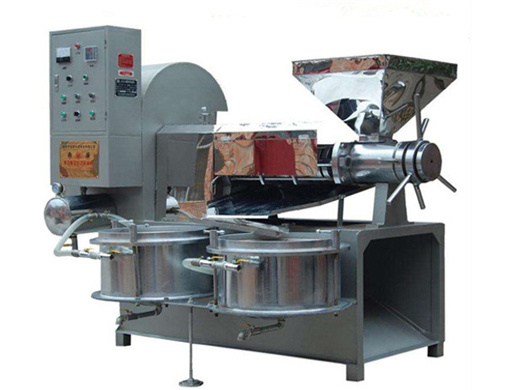 Máquina de extracción de aceite de prensa en frío máquina de prensado de aceite de sésamo grande