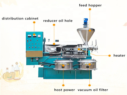 Prensa automática de aceite de sésamo de gran tamaño para la venta en Colombia