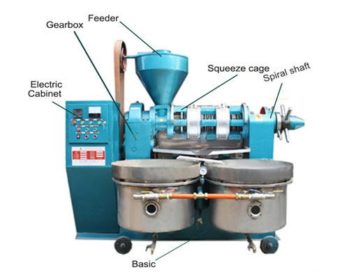 Prensa de aceite de nuez y sésamo automática grande y fría para té