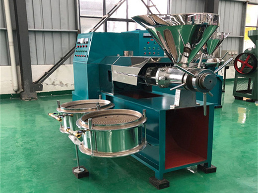 Máquina de prensado de aceite de tornillo de soja/colza/semilla de algodón de gran venta 2025