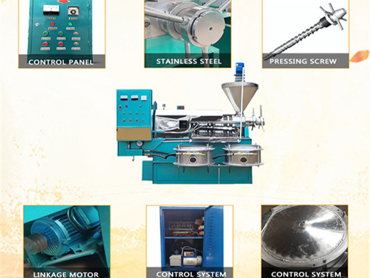Modelo dl zyj08 diseño avanzado extracción de aceite de sésamo copra y co2