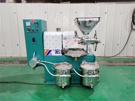 La mejor máquina automática de extracción de aceite de nueces pimienta negra y sésamo