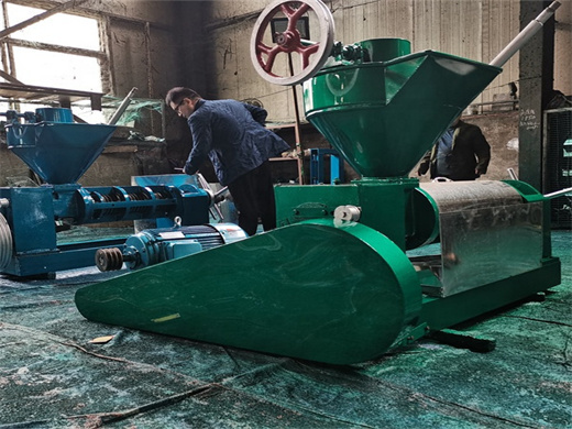 Prensa de tornillo automática profesional de alta calidad para expulsor de aceite