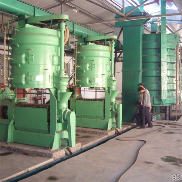 Máquina para procesar semillas nueces y aceite de sésamo de China