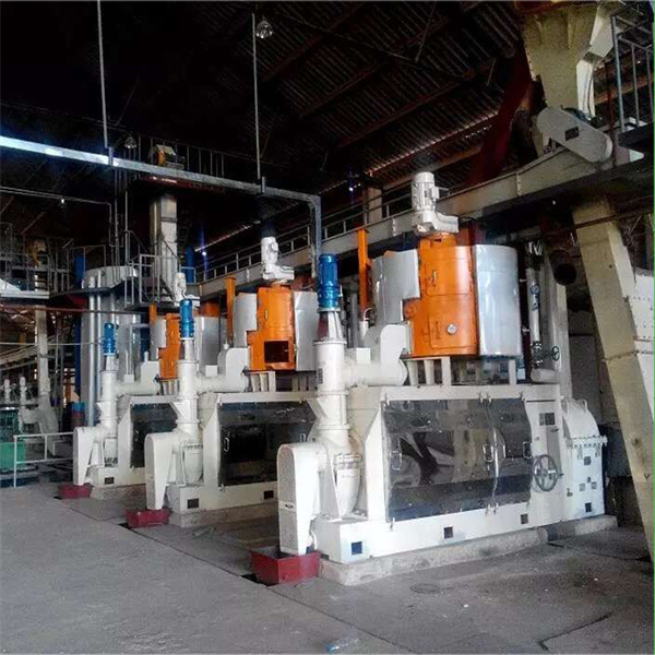 Costos de la máquina procesadora de aceite de semilla de sésamo en Colombia
