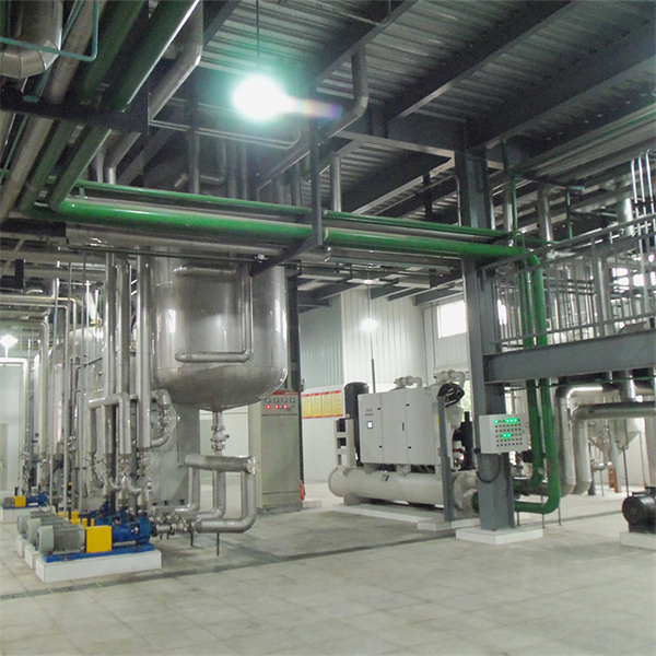 Máquina automática de prensado de aceite de sésamo en venta en Guinea Ecuatorial