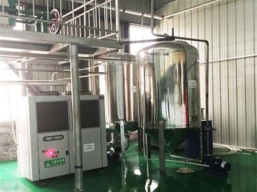 expulsor de aceite de germen de maíz máquina de aceite de sésamo aceite de sésamo en Honduras