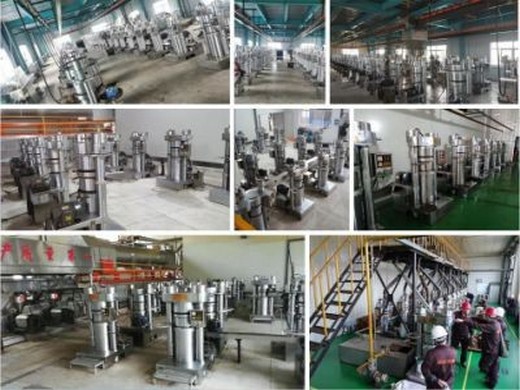 Máquina extractora de aceite de sésamo hidráulica automática china en Venezuela