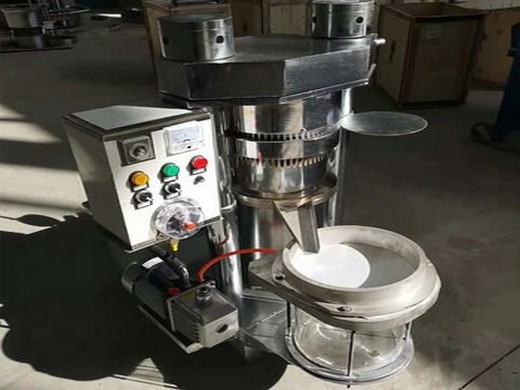 Máquina de prensado de aceite en frío automática hidráulica con gran descuento 2025