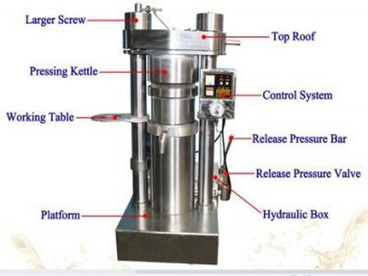 Línea de producción de prensa de aceite hidráulica 6YZ-180 de venta caliente